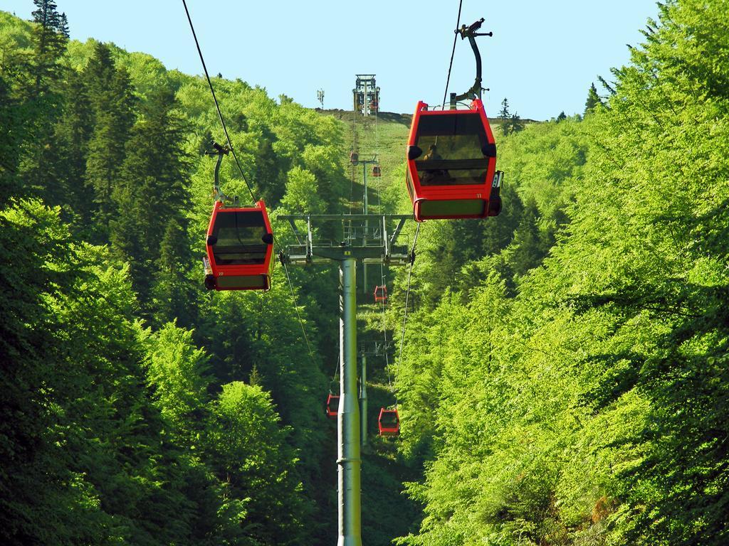 Azuga Ski & Bike Resort Ngoại thất bức ảnh